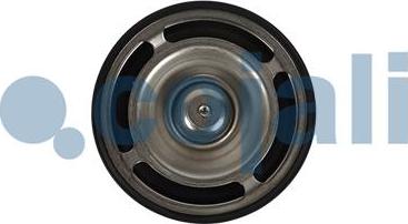 Cojali 2880274 - Coolant thermostat / housing carparts-centre.com