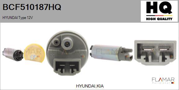 FLAMAR BCF510187HQ - Fuel Pump carparts-centre.com