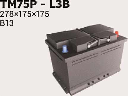 IPSA TM75P - Starter Battery carparts-centre.com