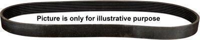 JP Group 4818101800 - V-Ribbed Belt carparts-centre.com