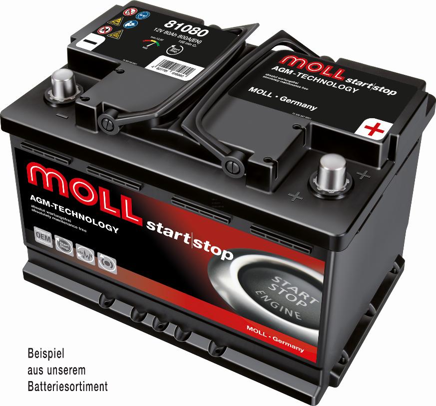 MOLL 81060 - Starter Battery carparts-centre.com